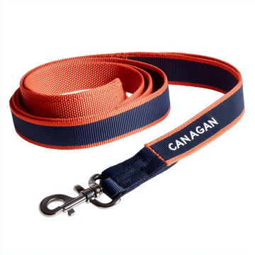Animal leashes