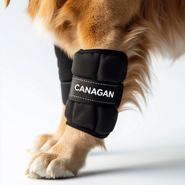 Leggings for animals
