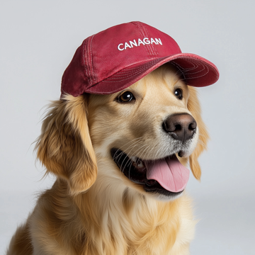 Hats for pets