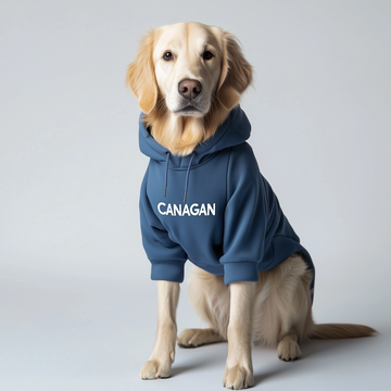 Pet clothing