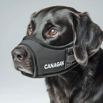 Muzzles for animals