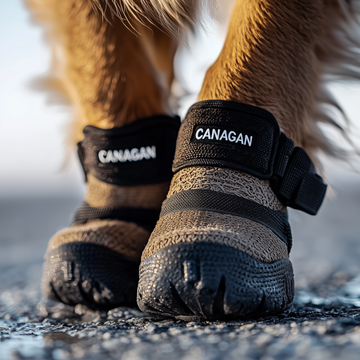 Dog shoes